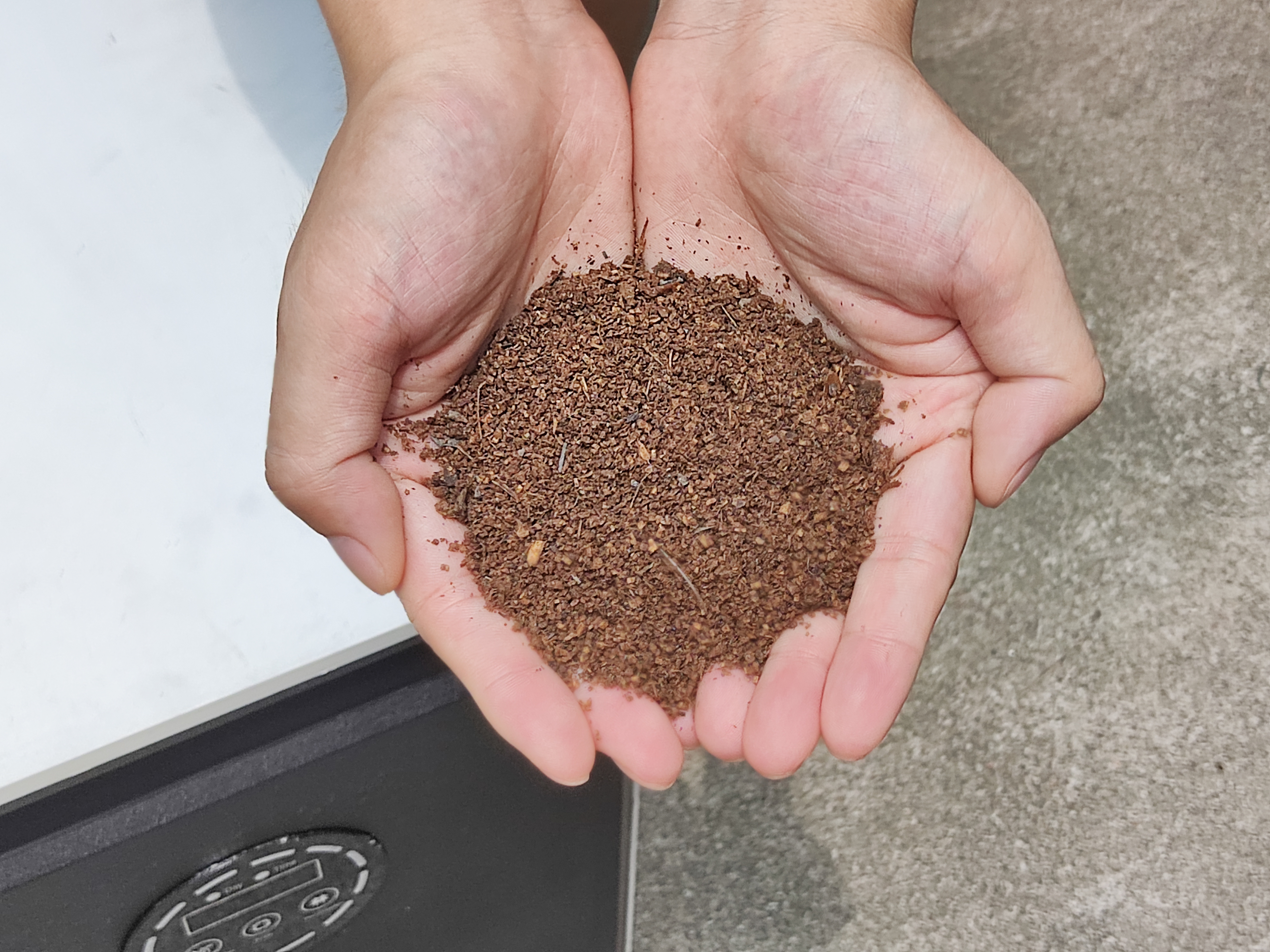 Best Fertilizer for Blueberries